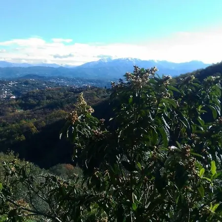 Caste Holiday House Appartamento